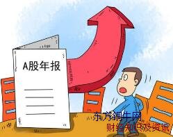 A股年報