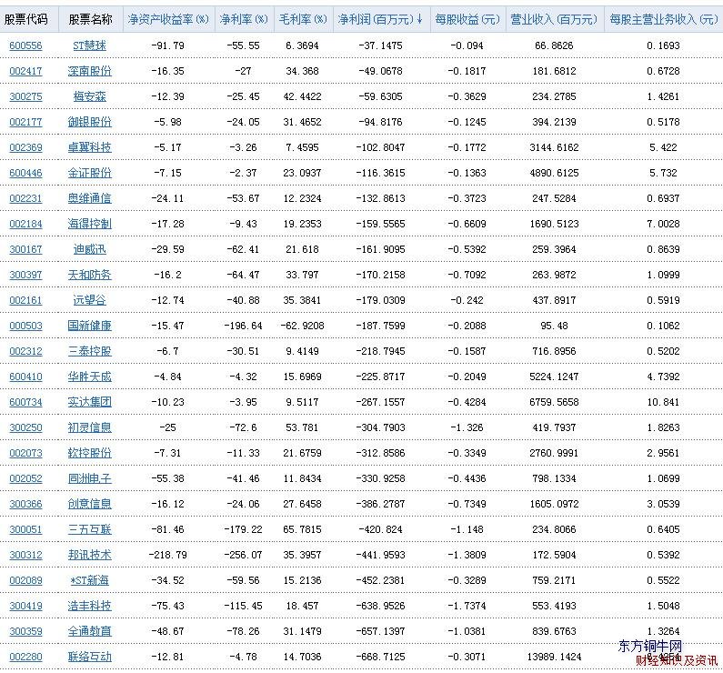 電子信息行業凈利潤表