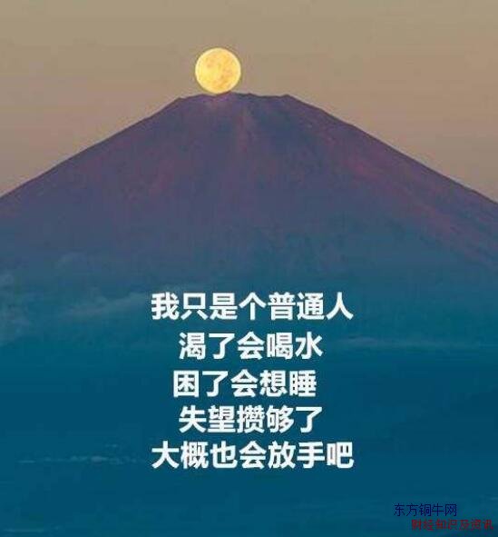 被傷透了心失望的句子