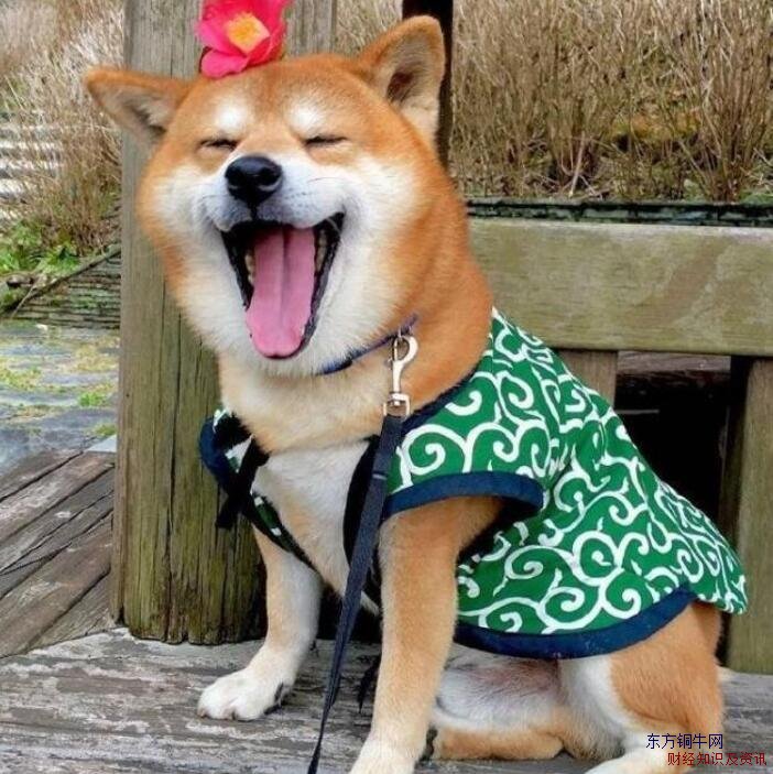 微笑狗