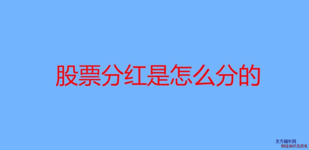 股票分紅是怎么分的